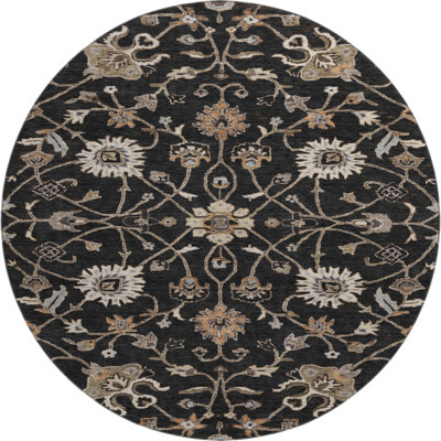 Premium Machine Washable Krause AMF1137 Global Rug