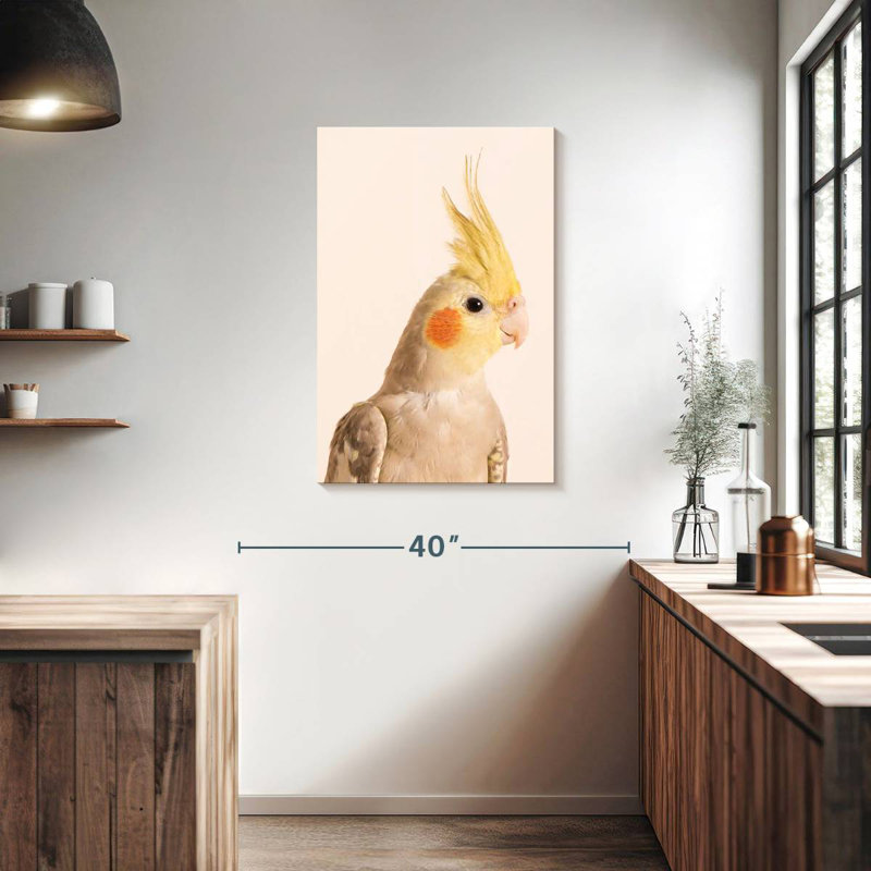Brampt Smiling Cockatiel, 36" H x 24" W