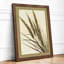 Grain Study Botanical - Framed Print-775496338-775496350