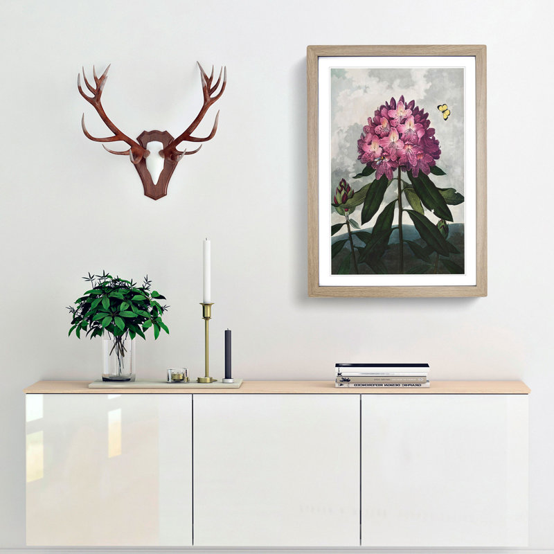 Rhododendron Flowers by R.J. Thornton - Picture Frame Painting Print, 36cm H x 27cm W x 2cm D, Oak Framed