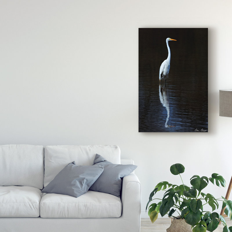 « élégant aigrette ii », reproduction de photo sur toile tendue, H 19 po x l 12 po x p 2 po
