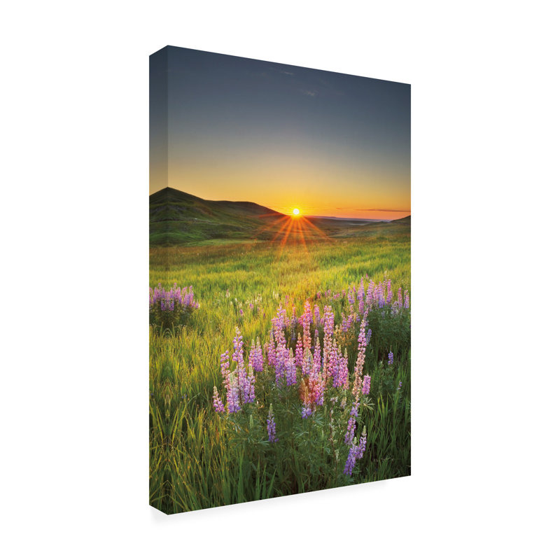Toile d'extérieur «Prairie Sunrise» par Alan Majchrowicz, H 19 po x l 12 po x P 1,5 po