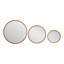 Ensemble de trois miroirs ronds