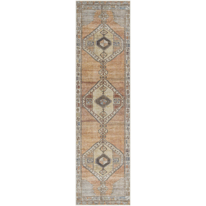 Lesia Washable Oriental Indoor Rug, Runner 2'7" x 10'