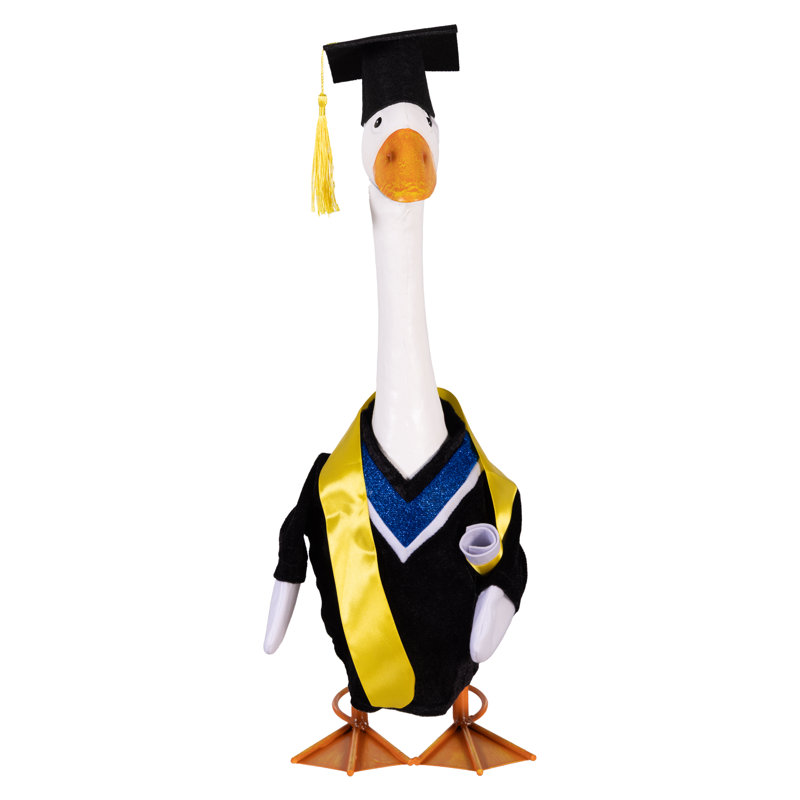 Porch Goose Outfit, Graduation Day, Graduation Gown