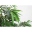 Arbre de saule artificiel 7 pi pour la décoration d'intérieur de maison, d'appartement ou de bureau