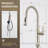 Nette Single-Handle Kitchen Faucet with Pull Down Sprayer -110891099