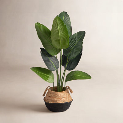 48'' Faux Palm Tree in Planter