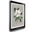 Magnolia botanique - reproduction de photo encadrée sur papier-1672420460-1672420457