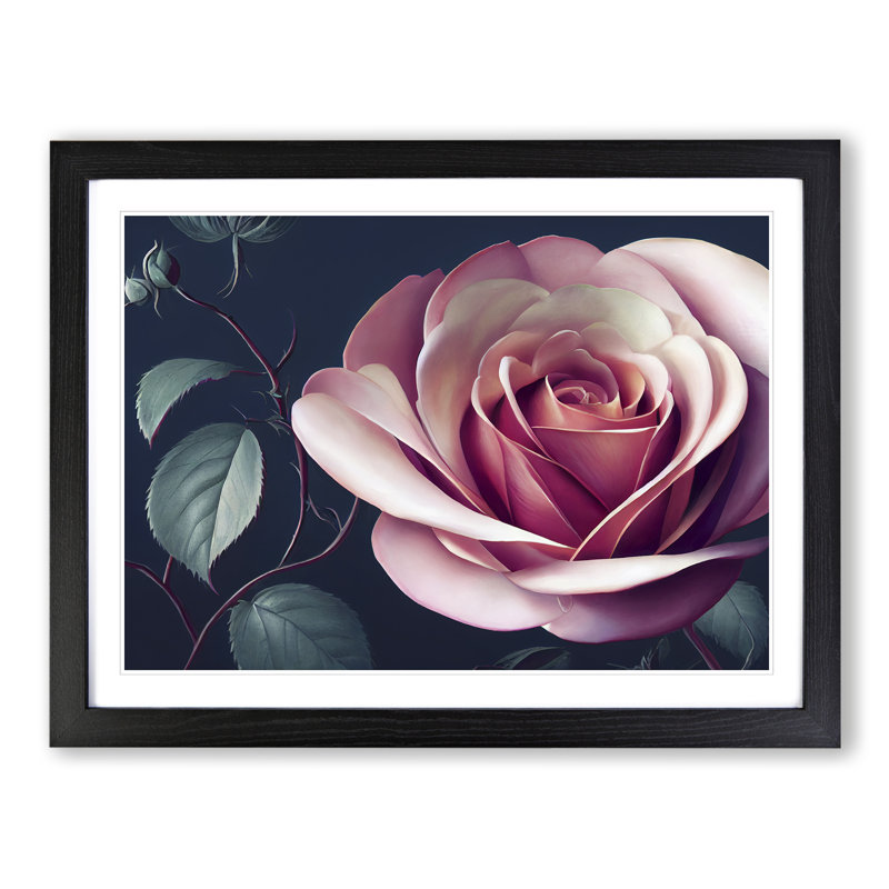 Pleasant Rose Flower - Single Picture Frame Print, Black Framed, 46cm H x 64cm W x 2cm D