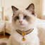 Collier de turban de pierres précieuses de style kabndieu pour les chats-129713282