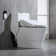 One Piece Toilet with Electric Smart Bidet Seat,Rear/Front Wash,Heated Seat,Wireless Remote,Advanced