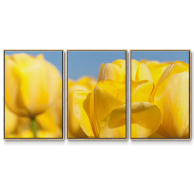 Jaune soleil I 3 pièces