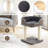 Cynthiaann Cat Perch-842746401