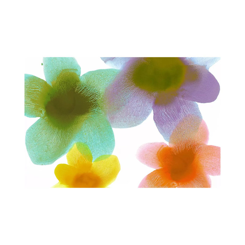 Floral Blooms II by Hannah Carlson - Wrapped Canvas Gallery-Wrapped Canvas Giclée, 20.32 cm H x 30.48 cm W