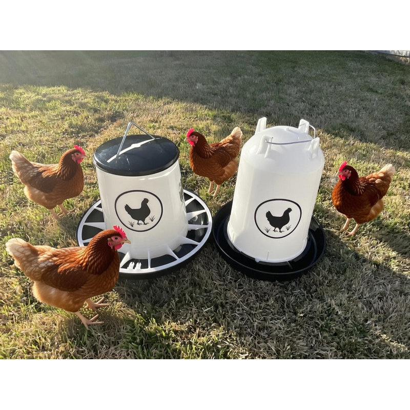 Zylina Waterer 3.2 Gallons / Feeder 26 lbs Combo - Black, Black