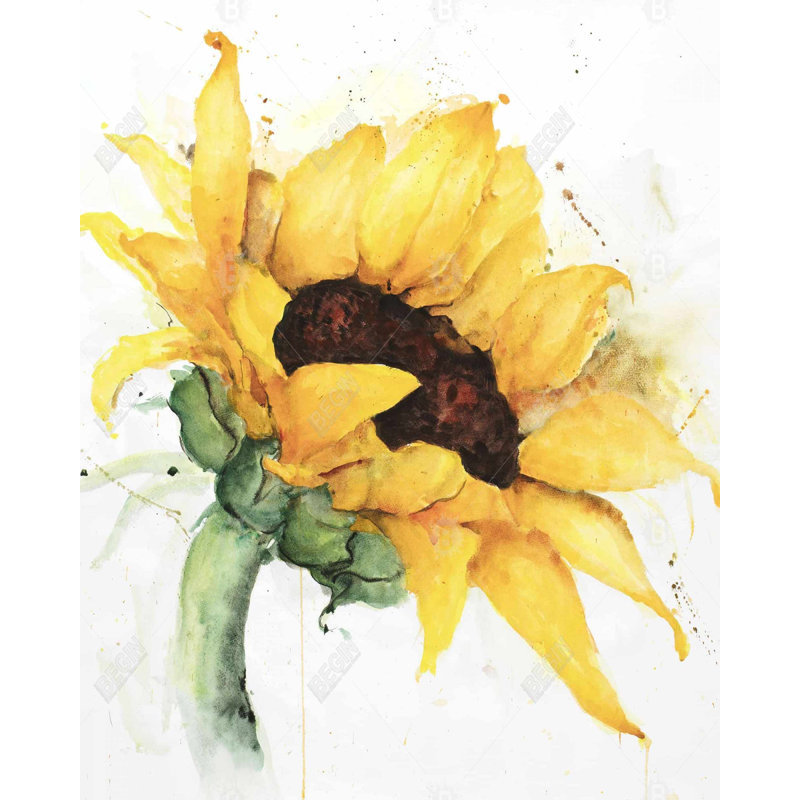 Watercolor Sunflower With Paint Splash Print On Canvas