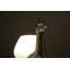 Iconos LED Table Lamp