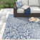 Speegle Indoor / Outdoor Rug