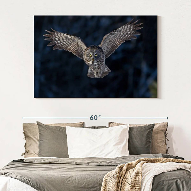 Hibou gris volant, H 34 po x l 51 po