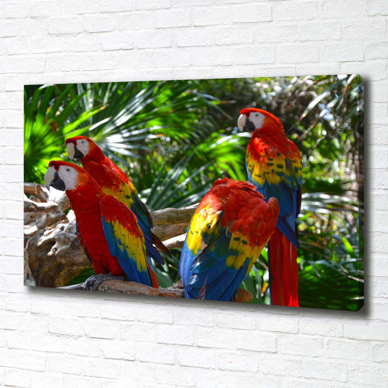 Macaw Parrots - Wrapped Canvas Print