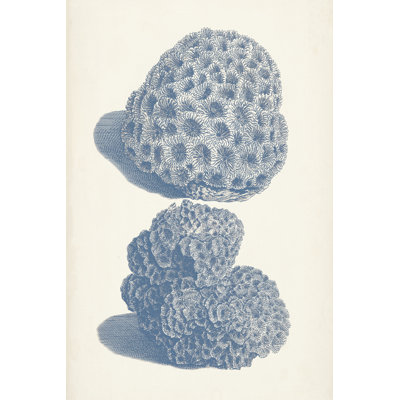 Antique Coral Collection VIII - Painting
