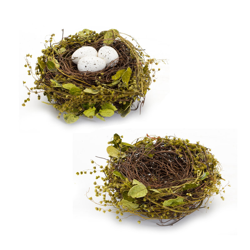 Mixed Bird Nests with Eggs