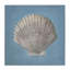 Toile de coquillage doux, design par Julia Purinton-398881763