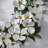 20" Polyester Dogwood Wreath-1401429542
