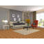 Tapis oriental moderne en laine Gabbeh 5 x 6