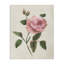 Toile d'étude florale Rosie Rose, design par Nan-1755552545