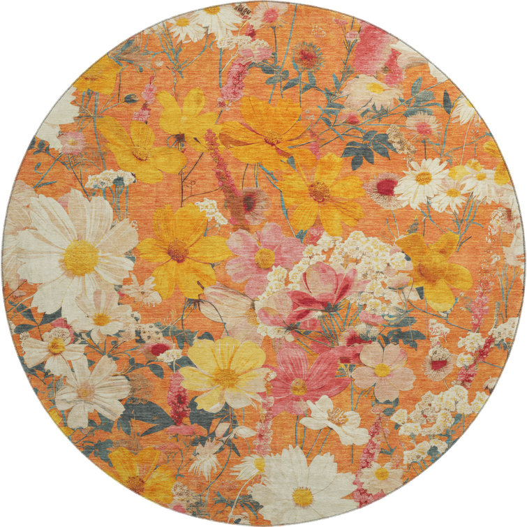 Premium Machine Washable Elize AMF1506 Floral Rug