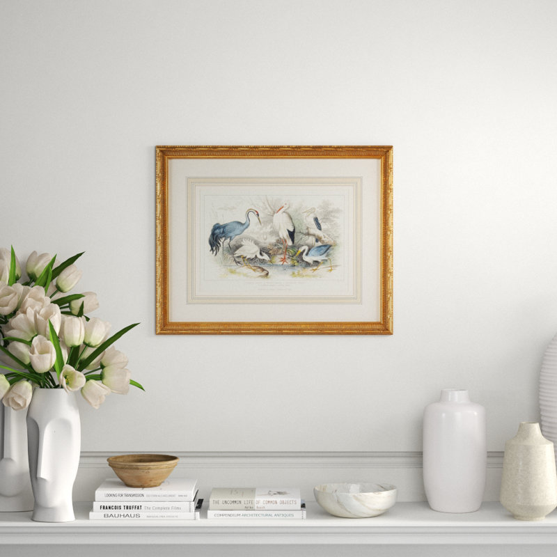 Herons Egrets & Cranes Print