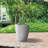 Planter-965475954