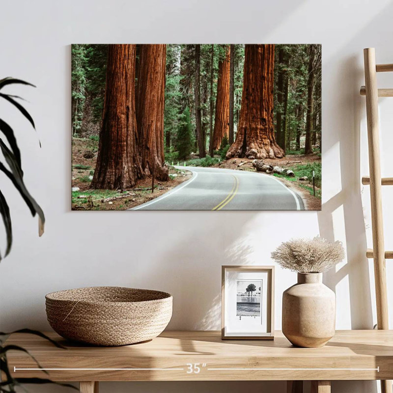 Sequoia Park Road, H 16 po x l 24 po