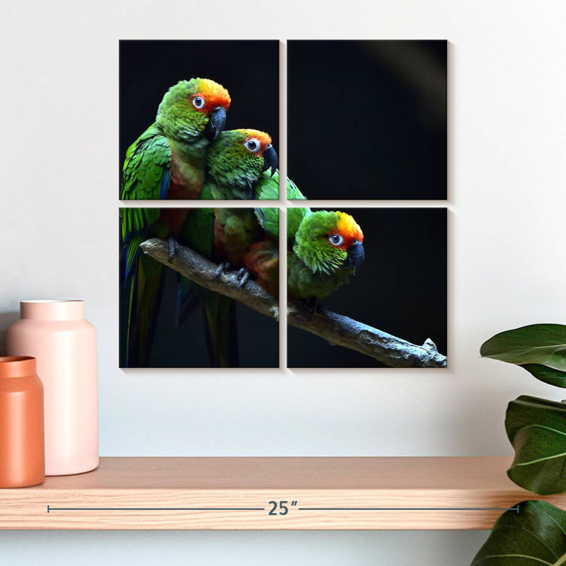Brampt Golden Capped Parakeets, 18" H x 18" W