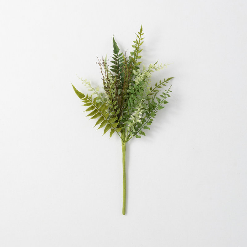 Fern Arrangement