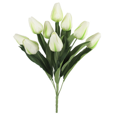 Grand tulipe