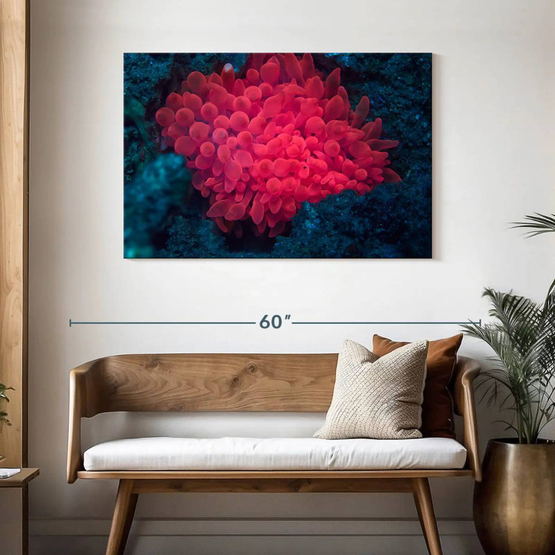 Rose corail, H 30 po x l 45 po