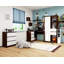 Theroux L-Shape Desk-1733075418-1729721152