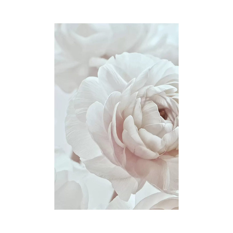 Blossom White I by Monika Strigel - Wrapped Canvas Print, 66.04 cm H x 45.72 cm W x 3.175 cm D