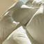 Magnolia_Shams-69674520-69674522