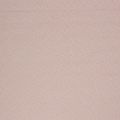 Suite Amazed Caribe Fabric