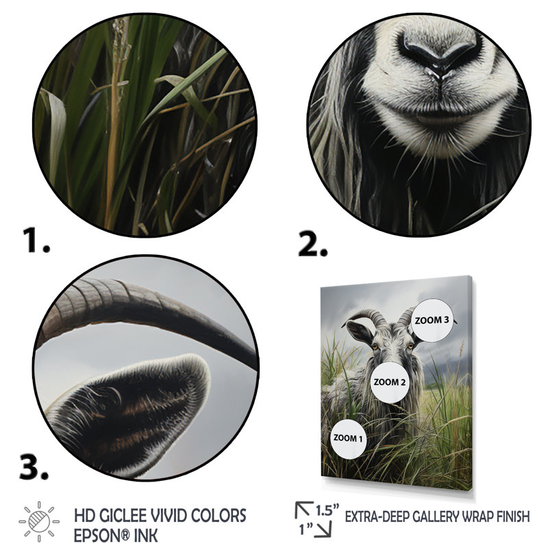 «Grey Meadow Buck Goat Peaks», art mural animal de chèvre, Cadre simple noir, H 40 po x l 30 po x P 1,5 po