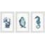 « ocean gemmes triptyque », ensemble de 3 reproductions encadrées-29546579
