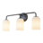 3 -Light Glass Vanity Light