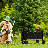 Foldable Garden & Camping Utility Cart
