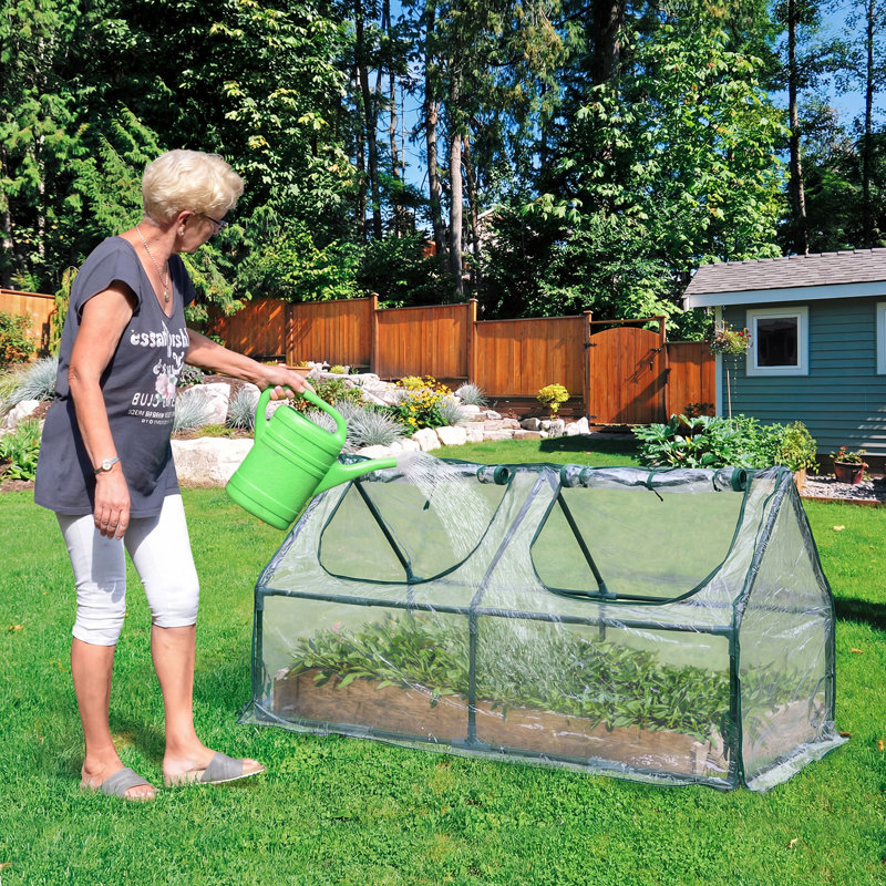 6'X3'x3' Mini Greenhouse, Clear