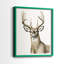Impression encadrée Handsome Whitetail I-Premium - prête à être accrochée - aucun clou requis - aucun clou requis-405950744-405950745