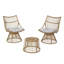 Ensemble de charmante chaise et table d'appoint en faux rotin pour la détente et le style-1945882920